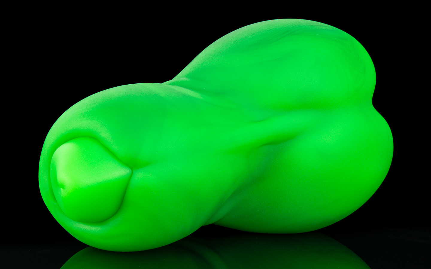 The Canine - Large Flop