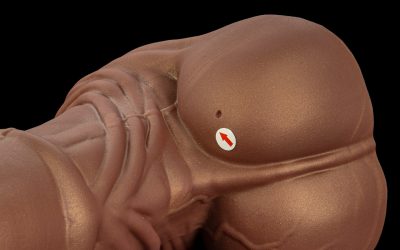 Alternative view of Jack - Large Flop