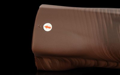 Alternative view of Gideon's Paw - Regular Single Flop