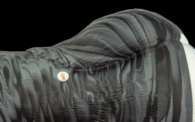 Alternative view of Gideon's Butt - Snug Flop