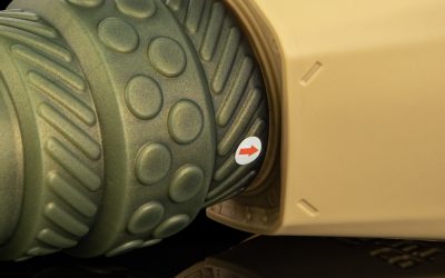 Alternative view of Scout - Xxl Flop