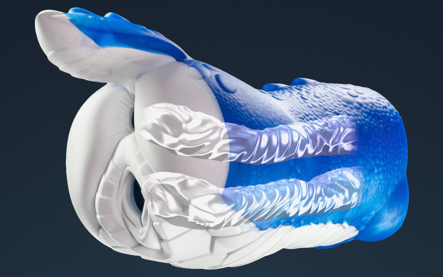 Sapphire - Image 2