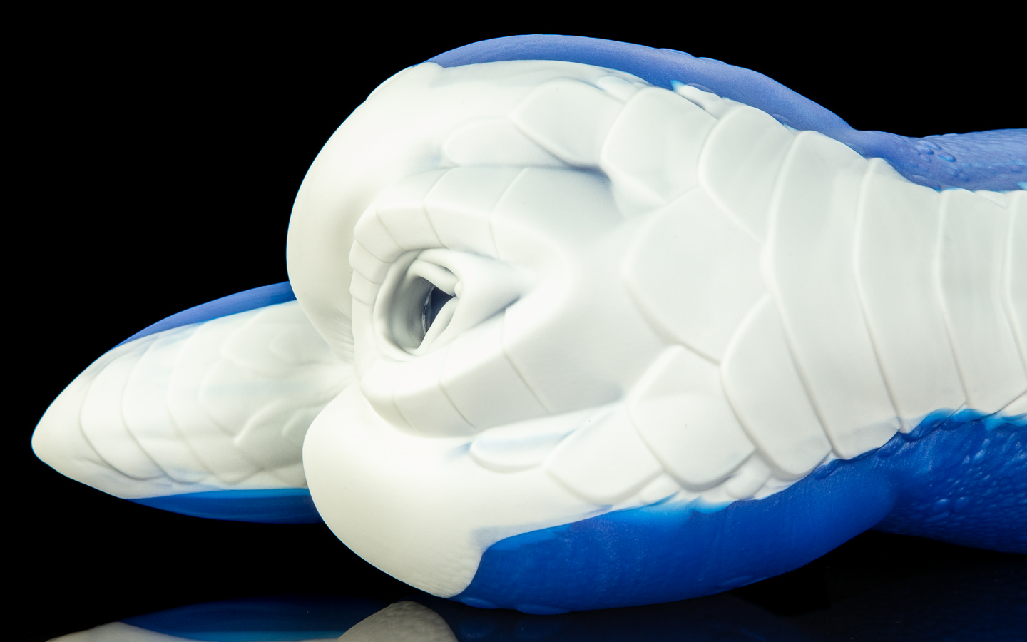 Sapphire - One Size - Image 2