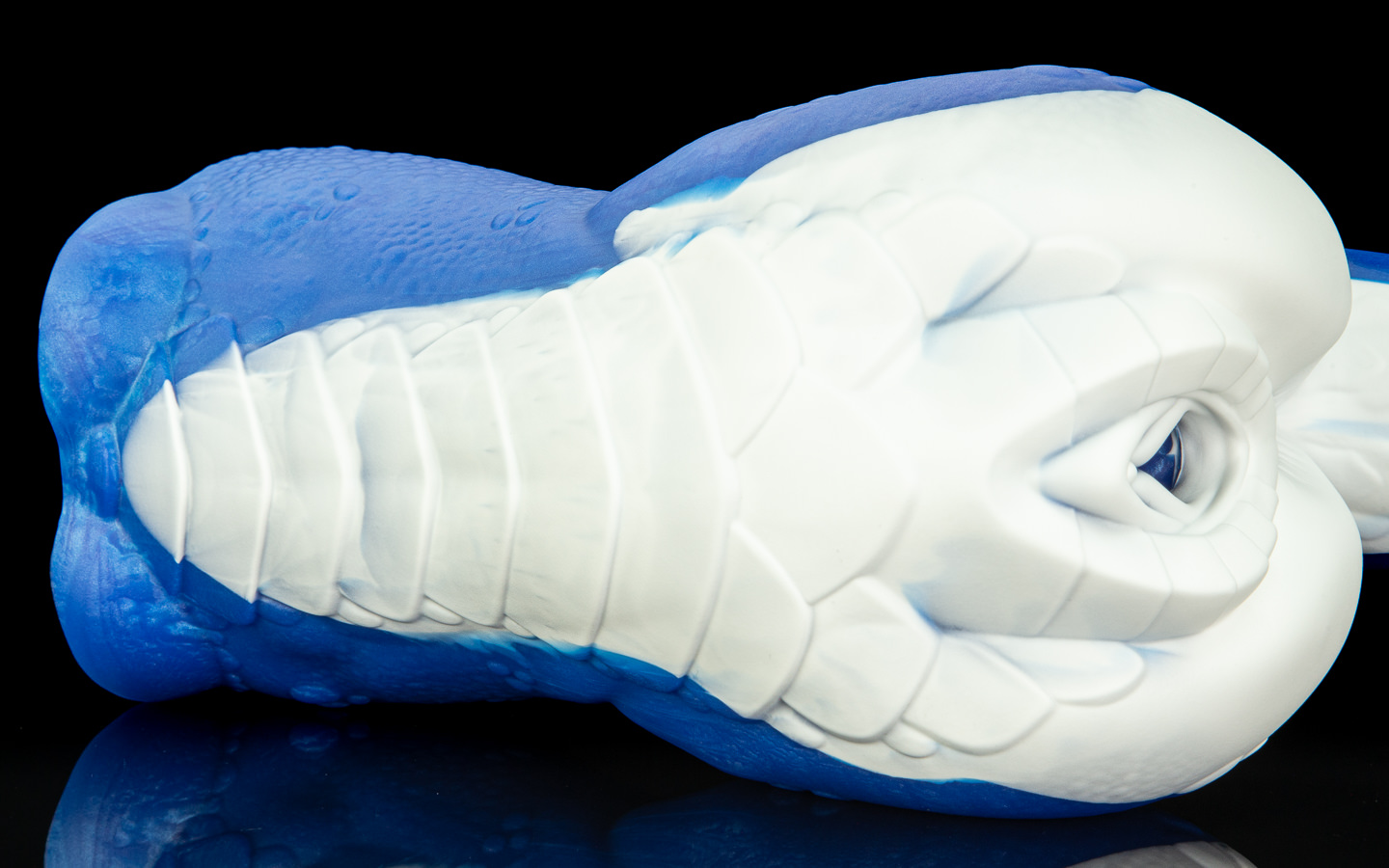 Sapphire - One Size - Image 2