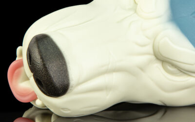 Alternative view of Ranger's Muzzle - One Size